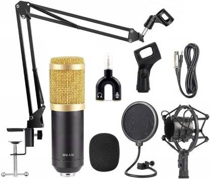 TECHTEST Professional BM-800 Microphone With Mic Stand
